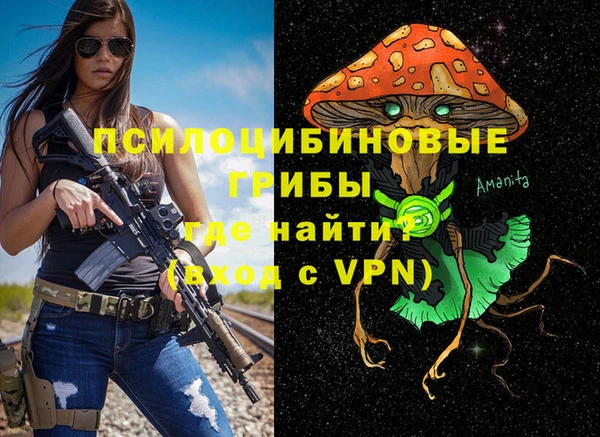 соль курить ск Осинники