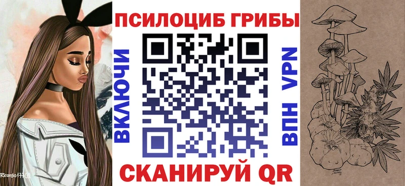 как найти закладки  Нахабино  Псилоцибиновые грибы мухоморы 