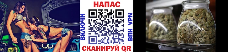 Шишки марихуана SATIVA & INDICA  кракен маркетплейс  Нахабино 